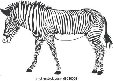 44,963 Line art tiger Images, Stock Photos & Vectors | Shutterstock