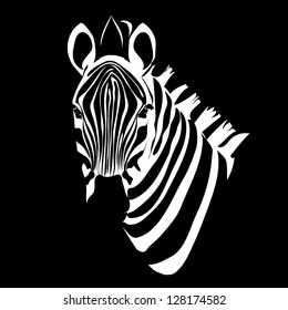 zebra isolated on black background vector