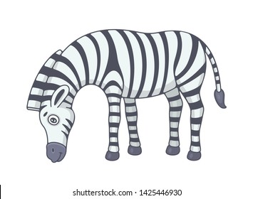 Zebra. isolated on white background