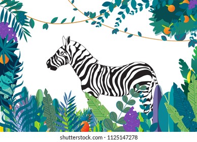 Zebra in the jungle, vector flat illustration