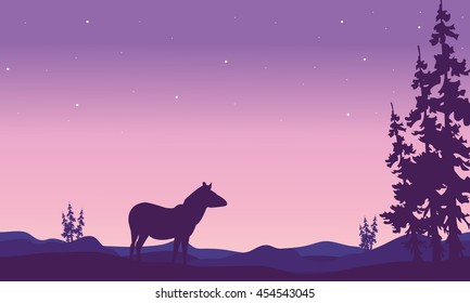 Zebra landscape in hills silhouette at night