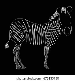 zebra line art