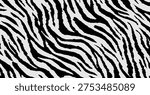 Zebra line pattern rough line. Black and white zebra skin textured.