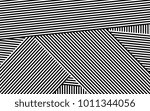 Zebra Lines Design with Black and White Stripes Vector, Stripes Fashion Texture, Zebra Print