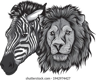 zebra and lion head vector illustration design