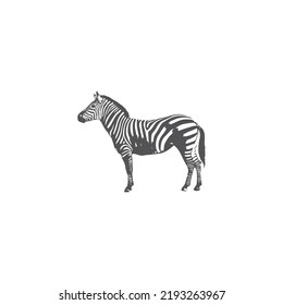 Zebra logo design on white background template