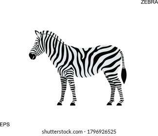 Zebra logo. Isolated zebra on white background