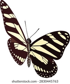 Zebra Longwing Butterfly Vector Illustration Isolated on White