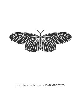 Ilustración de silueta de icono de ala larga de cebra. Vector de mariposa Gráfico Pictograma Símbolo Clip Arte. Doodle Sketch Signo Negro.