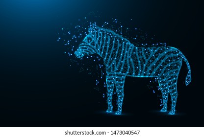 Zebra low poly design, African animal abstract geometric image, zoo wireframe mesh polygonal vector illustration made from points and lines on dark blue background