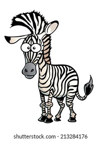 Zebra with a Mohawk