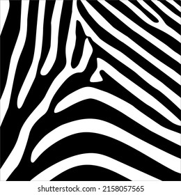 Zebra Motifs Pattern. Animal-Print Series. Vector Illustration