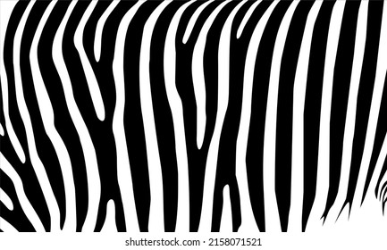 Zebra Motifs Pattern. Animal-Print Series. Vector Illustration