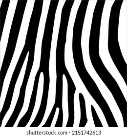 Zebra Motifs Pattern. Vector Illustration