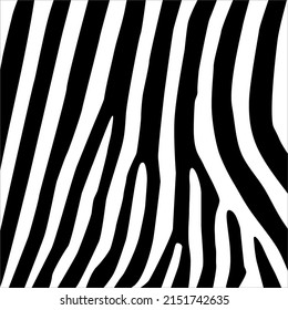Zebra Motifs Pattern. Vector Illustration