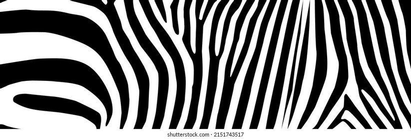 Zebra Motifs Pattern. Vector Illustration