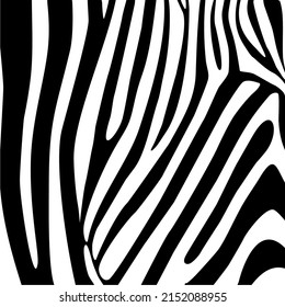 Zebra Motifs Pattern Vector Illustration Stock Vector (Royalty Free ...