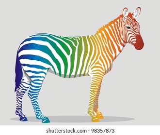 Zebra with multi-colored strips on a body