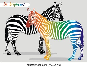 Zebra with multi-colored strips on a body