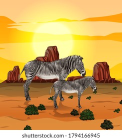 Zebra in nature background illustration