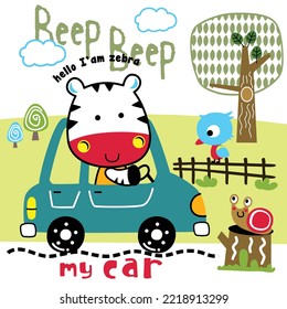 zebra on the car funny animal cartoon