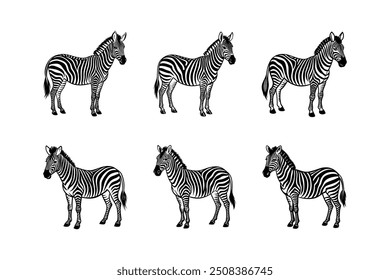  Zebra on a white background design for print-ready graphics on micro stock platforms.