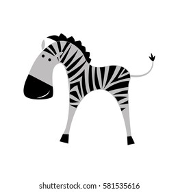 Zebra on a white background. The flat image.