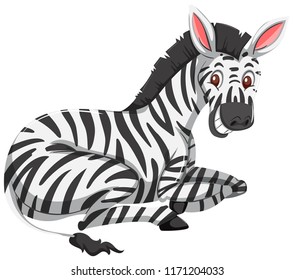 A zebra on white background illustration