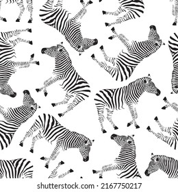 Zebra on white background, seamless pattern 
vector illustration.