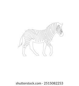 Zebra One line drawing. Continuous line minimalist style vector illustration, World Animal Welfare day Zebra Line Art. Black and white zebra straps