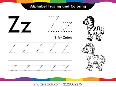 Zebra outline in vector. Uppercase and lowercase letter of 'Z' trace using kids worksheet page illustration design. Outline of Zebra for kids coloring. Kindergarten worksheet page.