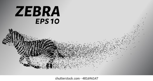 Zebra, particle divergent composition, vector illustration. Silhouette of a zebra from particles.