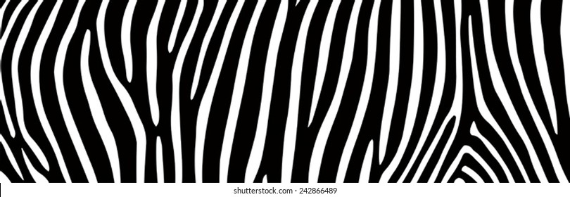 zebra pattern