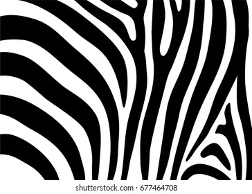 Zebra pattern