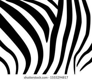 Zebra pattern. Abstract geometric pattern. Black and white animal skin background. Trendy stylish vector wallpaper.