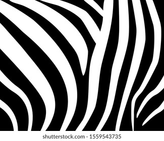 Zebra pattern. Abstract geometric pattern. Black and white animal skin background. Trendy stylish vector wallpaper.