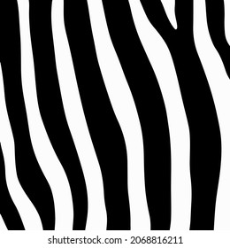 Zebra Pattern Background. Abstract Wild Animal Skin Print Design. Flat Vector Illustration.
