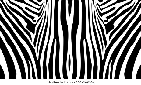 Zebra pattern balanced