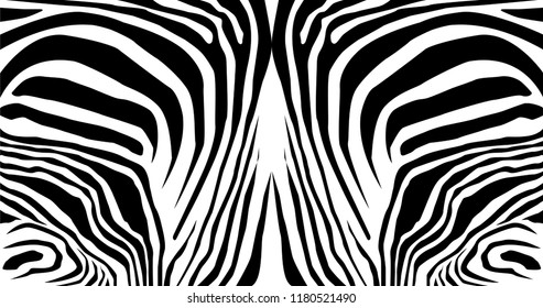 Zebra pattern balanced