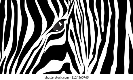 Zebra pattern in black and white.