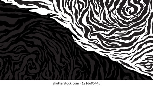 Zebra Pattern Black and White Balance