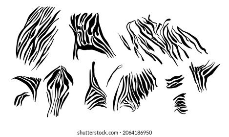 Zebra pattern black white. Monochrome texture of animal skins bands from savanna. Abstract African camouflage background for fashionable prints on t-shirts, clothes. Vector illustration