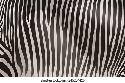 A zebra pattern design