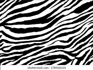 Zebra Pattern Images, Stock Photos & Vectors 