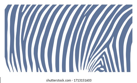 Zebra Pattern design, vector illustration, background.