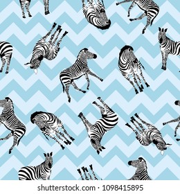 Zebra pattern, illustration, animal.