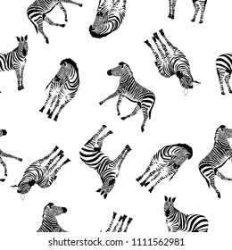 Zebra pattern, illustration, animal.