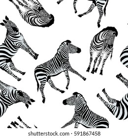Zebra pattern - illustration, vector