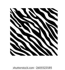 Zebra pattern isolated on white background