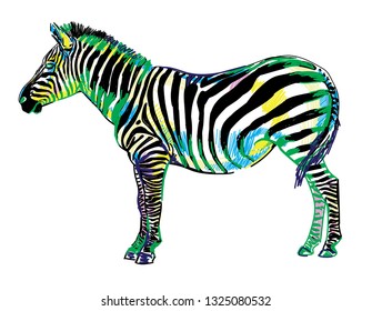 Zebra pattern markers. Pop Art. Bright print, colored spots. Freehand drawing. Zebra in full growth.